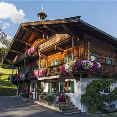 Ein traditionelles Holzhaus mit Blumenkästen und einem schönen Berg im Hintergrund. Die Umgebung ist grün und idyllisch.