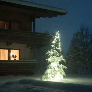Ein verschneites Haus bei Nacht, beleuchtet von warmem Licht. Draußen steht ein festlich geschmückter Weihnachtsbaum.
