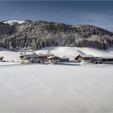 Eine ruhige Winterlandschaft mit verschneiten Hügeln und alten Bauernhäusern. Dunkle Tannenwälder umgeben die Szene und der Himmel ist klar.