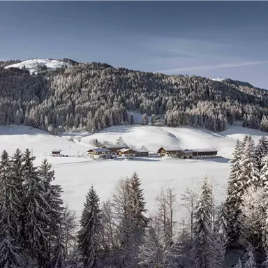 Eine verschneite Landschaft mit einem kleinen Bauernhof, umgeben von hohen, schneebedeckten Tannen. Der Himmel ist klar und die Berge im Hintergrund sind sichtbar.