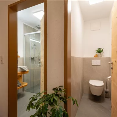 Ein modernes Badezimmer mit Dusche, WC und Holzdetails. Eine grüne Pflanze sorgt für eine angenehme Atmosphäre.