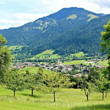 Eine malerische Landschaft mit sanften Hügeln und einem kleinen Dorf im Tal. Im Hintergrund erheben sich beeindruckende Berge unter einem klaren Himmel.