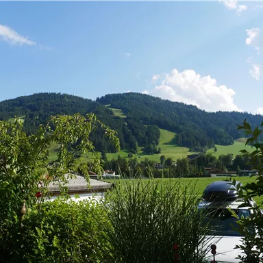 A picturesque landscape with gentle hills and lush greenery. In the foreground, plants adorn the image, while the sky is clear and blue.