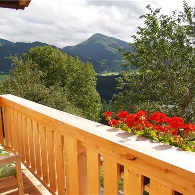 A beautiful balcony with red flowers and a wooden railing. In the background, green mountains and a wooded landscape can be seen.