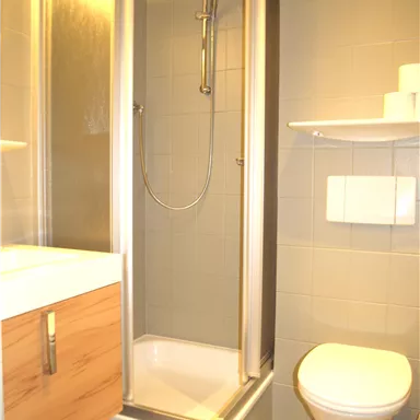 Ein modernes Badezimmer mit einer Dusche, einem WC und einem Waschbecken. Die Wände sind hellgrau gefliest und die Möbel sind aus Holz.