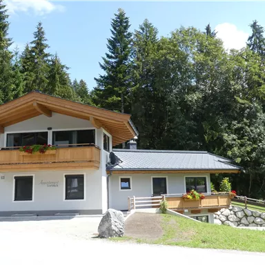 A charming house amidst trees, surrounded by green landscape. The facade is painted bright and features a wood design.
