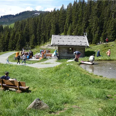 An idyllic landscape with a small cabin and a pond. People enjoy nature and spend time outdoors.