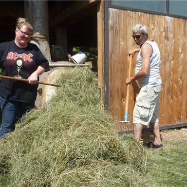 Two people are climbing hay in a barn. It is a sunny day and the atmosphere feels industrious.