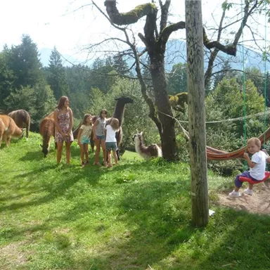 A group of children is playing on a meadow with several animals in the background. In the foreground, a little girl is sitting on a swing.