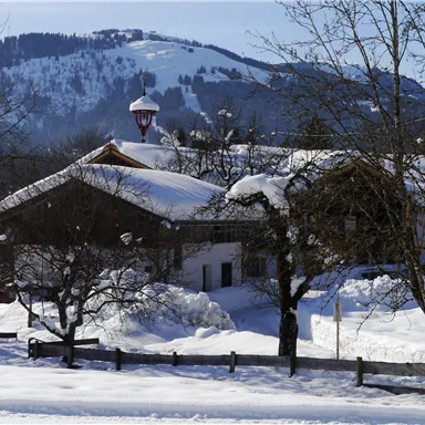 A snowy landscape with a traditional house and snow-covered trees. In the background, gentle hills can be seen.