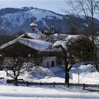 Eine verschneite Landschaft mit einem traditionellen Haus und schneebedeckten Bäumen. Im Hintergrund sind sanfte Hügel zu sehen.