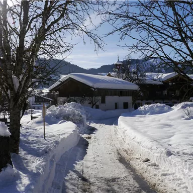 Eine schneebedeckte Straße führt zu einem traditionellen Haus in einer winterlichen Landschaft. Die Bäume sind mit Schnee bedeckt und der Himmel ist klar und blau.