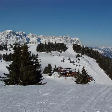 A wintry landscape with snow-covered mountains and dense fir trees. In the foreground, some cabins are visible among the trees.