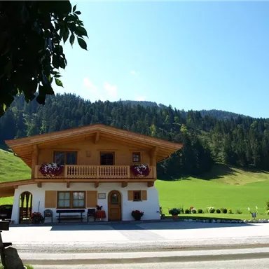 Ein traditionelles alpenländisches Haus mit einem Holzbalcony. Im Hintergrund erstrecken sich grüne Wiesen und Bäume unter einem strahlend blauen Himmel.