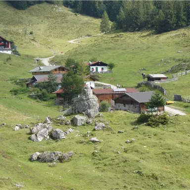 A picturesque alpine landscape with cozy wooden houses and green meadows. The surroundings are surrounded by rocks and trees, creating a tranquil atmosphere.
