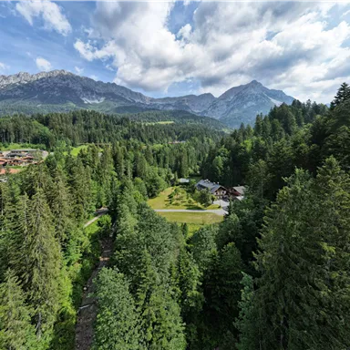 Eine malerische Landschaft mit dichten Wäldern und majestätischen Bergen im Hintergrund. Der Himmel ist teilweise bewölkt und die Natur wirkt einladend und friedlich.