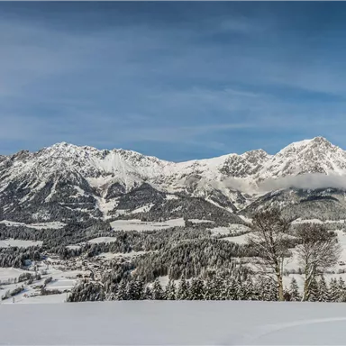 A winter mountain landscape with snow-covered peaks and a clear blue sky. In the foreground, snowy hills and trees are visible.