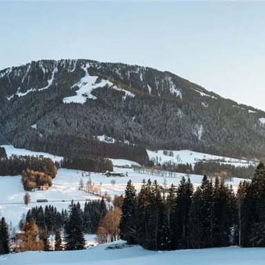 Eine verschneite Landschaft mit hohen Bergen und schneebedeckten Bäumen. Der Himmel ist klar und die Sonne scheint auf die Winterlandschaft.