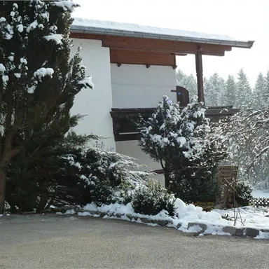 A house surrounded by snow-covered trees and shrubs. The landscape is wintry and peaceful.