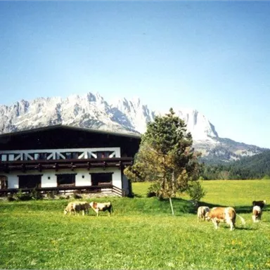 Eine malerische Alm mit Kühen auf einer Wiese und beeindruckenden Bergen im Hintergrund. Der Himmel ist klar und die Landschaft ist grün und einladend.