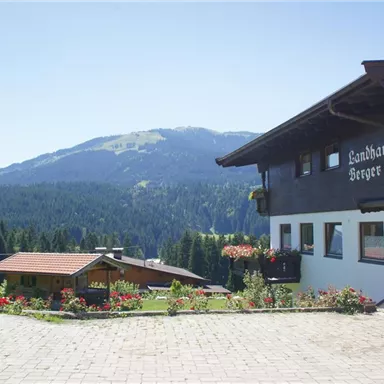 A charming country house with a view of the mountains. The garden is blooming and inviting.