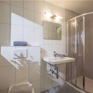 A modern bathroom with a shower and a sink. There is a large mirror and a plant as decoration.