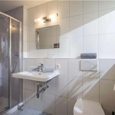 A modern bathroom with a shower, a sink, and a large mirror. Green plants bring freshness to the room.