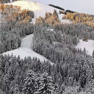 Eine verschneite Landschaft mit dichten Wäldern und einem beleuchteten Hang im Hintergrund. Die Bäume sind mit Schnee bedeckt und die Szene strahlt Ruhe und Klarheit aus.