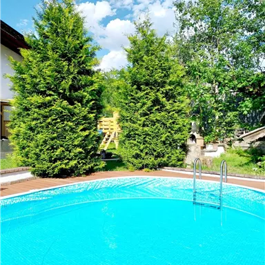 A clear swimming pool surrounded by green trees. In the background, there are clouds and a light blue sky.