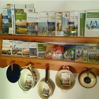 A wooden shelf with various informational brochures about travel and activities. Below it, some pots hang as a decorative element.