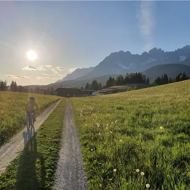 A person is riding a bicycle on a narrow path through a green meadow. In the background, there are mountains and the sun is shining in the sky.