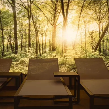 Ein entspannender Raum mit Liegen und einem großen Fenster, das einen sonnigen Wald zeigt. Das Licht strömt durch die Bäume und schafft eine ruhige Atmosphäre.