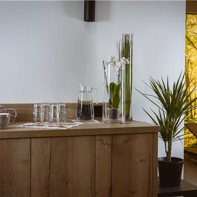 Eine elegante Holztheke mit Gläsern, einer Kaffeekanne und Pflanzen. Im Hintergrund ist ein großes Fenster mit einem Waldmotiv.