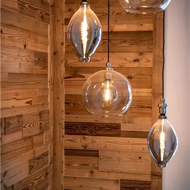 Eine stilvolle Innenansicht mit drei hängenden Glasleuchten. Der Hintergrund besteht aus warmem Holz, das eine gemütliche Atmosphäre schafft.