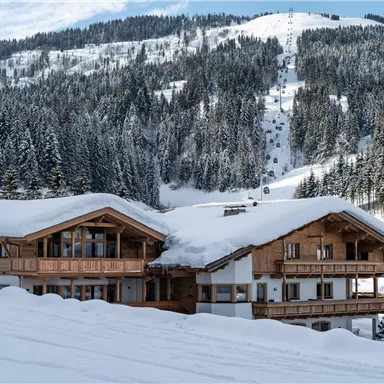 Ein charmantes Berghaus im Schnee mit Holzverkleidung. Im Hintergrund erstrecken sich schneebedeckte Berge und Tannenbäume.
