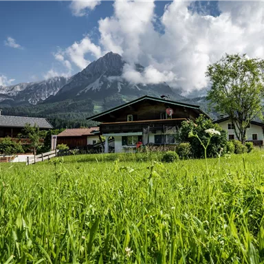 Eine idyllische Landschaft mit einem traditionellen Haus und grünen Wiesen. Im Hintergrund erheben sich majestätische Berge unter einem blauen Himmel.
