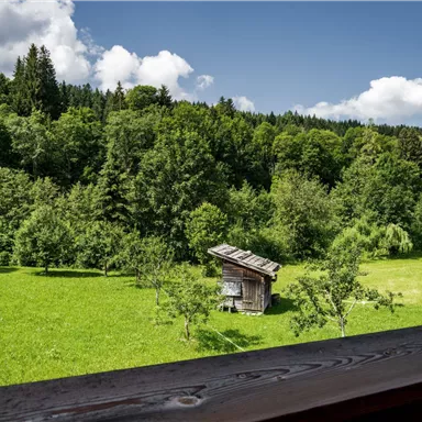 Eine grüne Wiese umgeben von Bäumen und sanften Hügeln. Im Vordergrund steht ein kleines, holziges Häuschen.