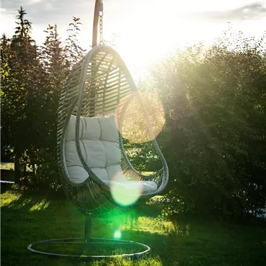 A hanging basket chair is in the garden. The sun shines mysteriously through the clouds, creating a warm atmosphere.