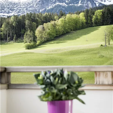 A beautiful view from a balcony overlooking green meadows and snow-covered mountains. In the foreground, there is a pot with plants on a round table.