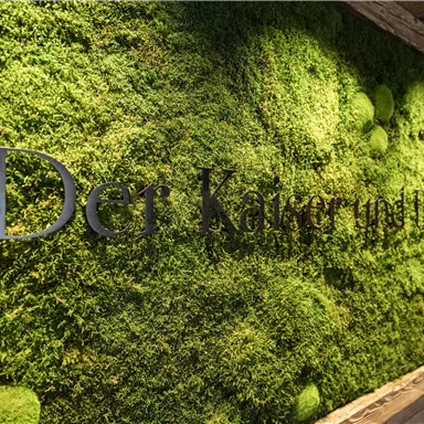 A green moss wall with the inscription "The Emperor and Iu". The texture of the moss creates a natural and calming atmosphere.
