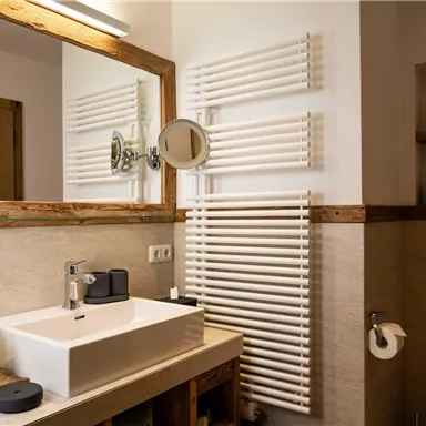 A modern bathroom with a single sink and a large mirror. The walls are painted in neutral tones, and there is a decorative wooden shelf.