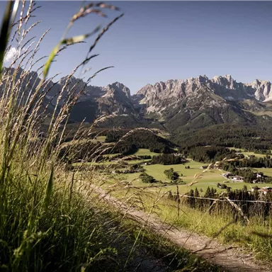 A picturesque landscape with tall mountains in the background and green meadows in the foreground. A narrow path leads through nature to a small village.