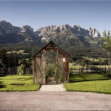 A beautiful greenhouse in a green landscape with mountains in the background. The surroundings are peaceful and feature well-maintained lawns and trees.