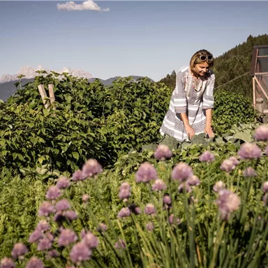 A woman is working in a garden with green plants and purple chive flowers. In the background, there are mountains and a wooden shed.