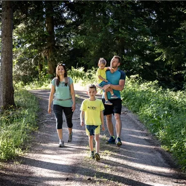 A family is walking on a forest path. Surrounded by trees and green nature, they are enjoying their time outdoors.