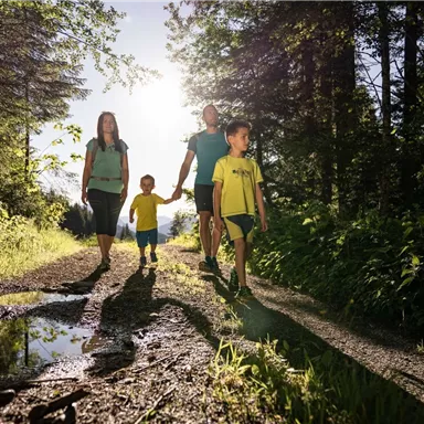 A family is walking on a picturesque forest path. The sun is shining and there are green trees and grass around them.