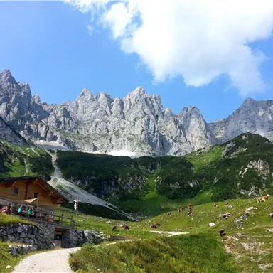 Eine malerische Berglandschaft mit hohen Gipfeln und grünem Gras. Im Vordergrund steht ein rustikales Holzhaus auf einem Weg.