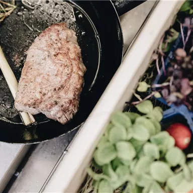 Ein saftiges Stück Fleisch in einer Pfanne, umgeben von frischen Kräutern. Neben der Pfanne liegen bunte Salate und frisches Gemüse.