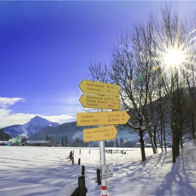 Ein verschneites Landschaftsbild mit einem klaren blauen Himmel und der Sonne, die hinter den Bäumen scheint. Es gibt Wegweiser, die auf verschiedene Routen hinweisen.