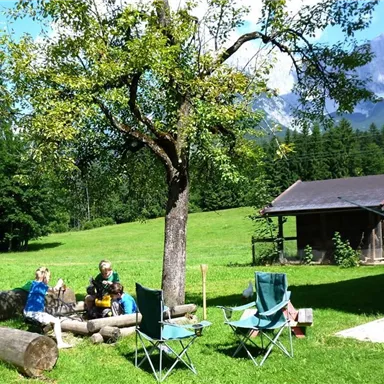 Eine grüne Wiese mit einem großen Baum und einer gemütlichen Sitzecke aus Holzstämmen. Im Hintergrund ist eine kleine Hütte und Berge zu sehen.